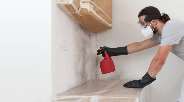 Professional Crawl Space Mold Removal technician working in Breezewood, PA