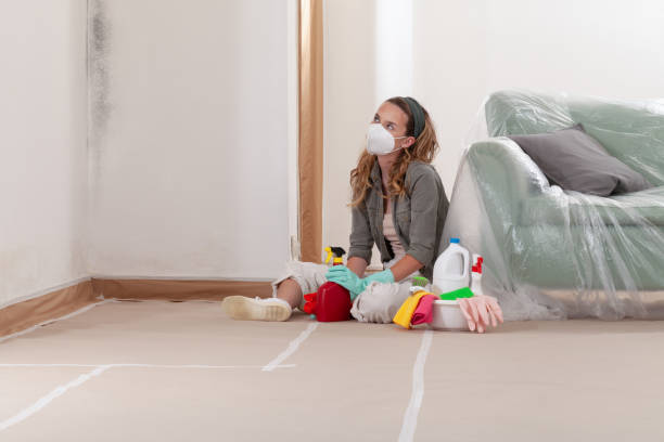 Reliable Crawl Space Mold Removal contractor in Breezewood, PA by WQB Mold Removal