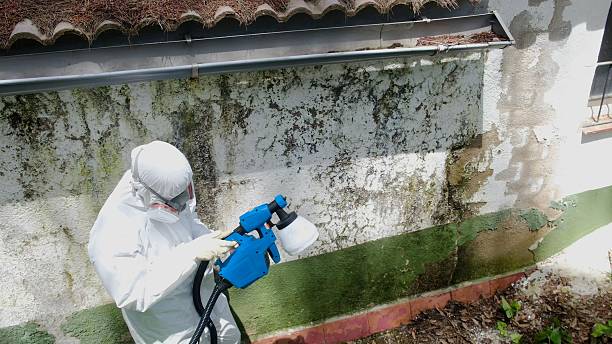 Top rated local Crawl Space Mold Removal specialists in Breezewood, PA